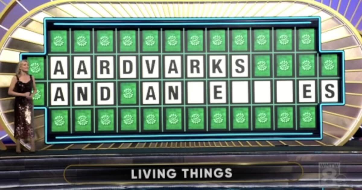 The controversial 'Wheel of Fortune' puzzle. (Cover Image Source: YouTube| Wheel of Fortune | WMTW 8)