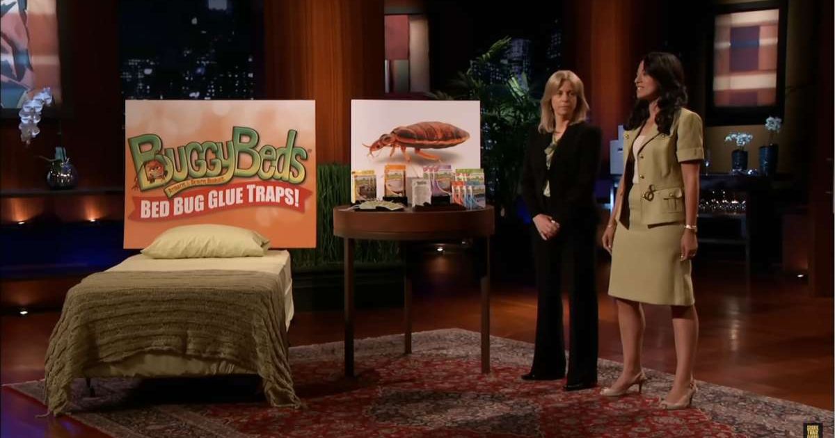 Screenshot showing the co-founders of BuggyBeds making their pitch (Cover image source: YouTube | Shark Tank Global)