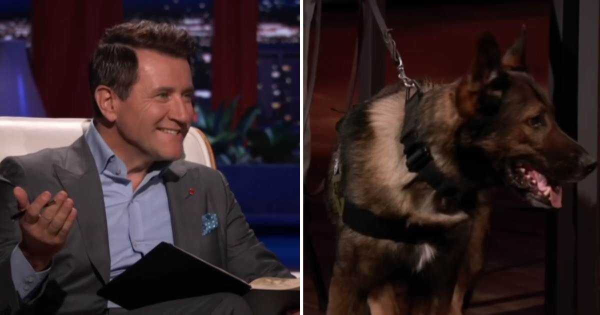 Screenshots showing Robert Herjavec and the "talking dog" on "Shark Tank." (Cover Image Source: YouTube | Shark Tank Global)