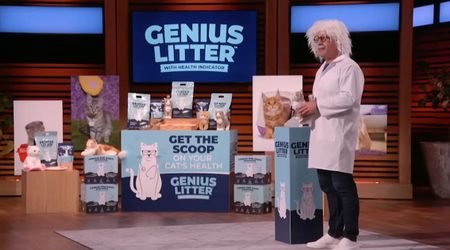 'Shark Tank' contestant makes the judges fight, then convinces them to team up for $250,000 deal