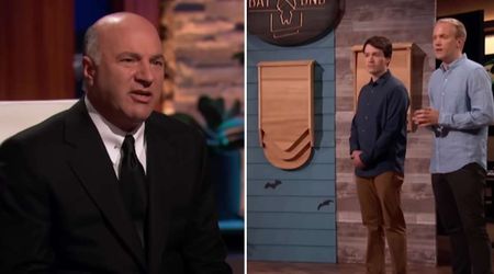 'Shark Tank' judge Kevin O'Leary invests in firm promoting bats as pets — even agrees to wear Batman suit