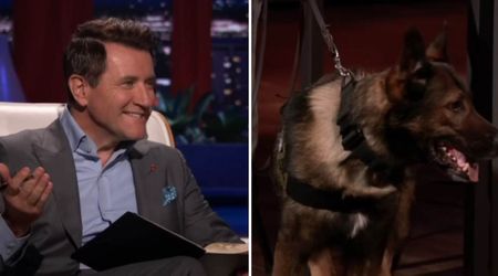 'Shark Tank' judge Robert Herjavec spends big on pet speaker deal, but founder loses way more equity