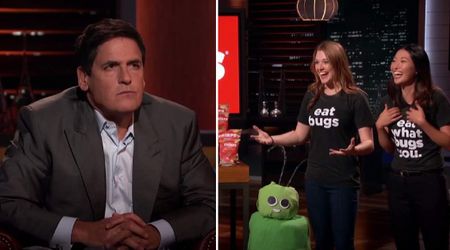 'Shark Tank' contestants bring chips laced with bugs — Mark Cuban was tempted enough to invest