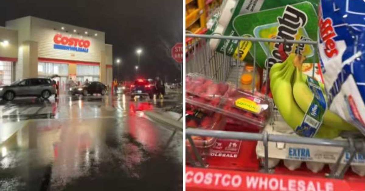 Screenshots showing the creator in a Costco store (Cover Image Source: TikTok | @knotkinkyhairties)