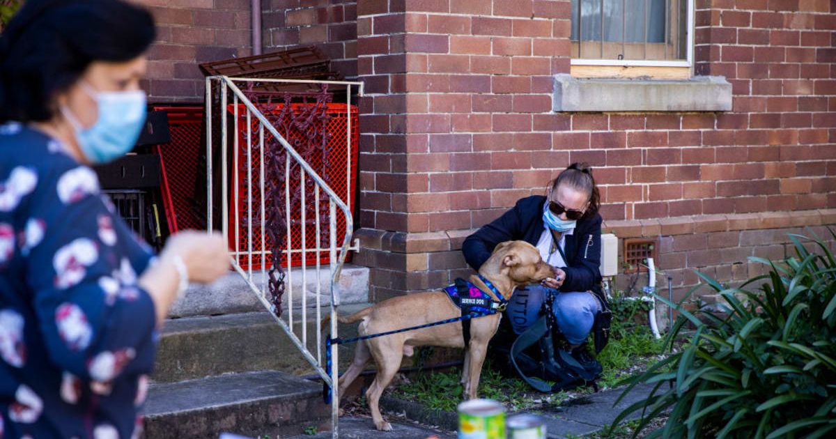 A woman feeding a dog (Cover image source: Getty Images | Jenny Evans)