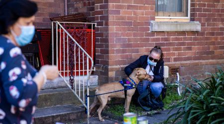 Popular dog product sold across 7 American states recalled over Salmonella fears