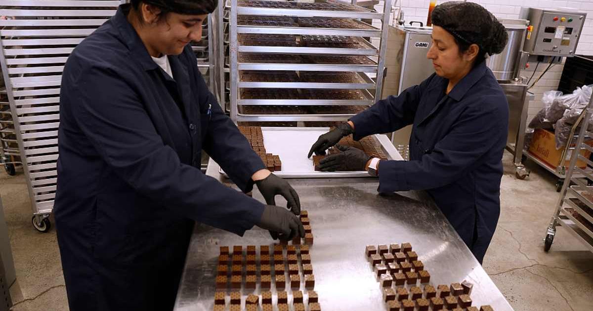 Representative image of chocolate factory workers. (Cover Image Source: Photo by Justin Sullivan/Getty Images)