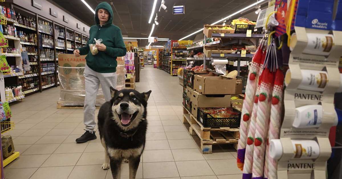 Representational image of a pet owner (Cover image source: Getty Images | Contributor)
