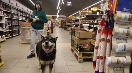 Popular pet food sold in 5 US states recalled over Salmonella fears — return ASAP for refund